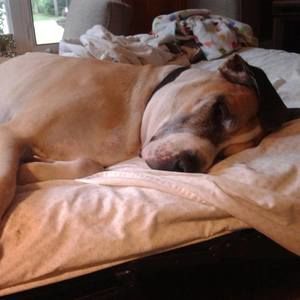 Meet your Posher, Patrick